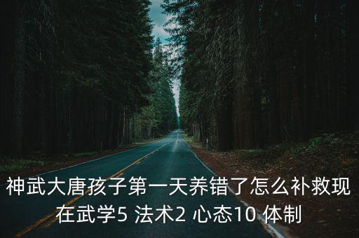 神武大唐孩子第一天养错了怎么补救现在武学5 法术2 心态10 体制