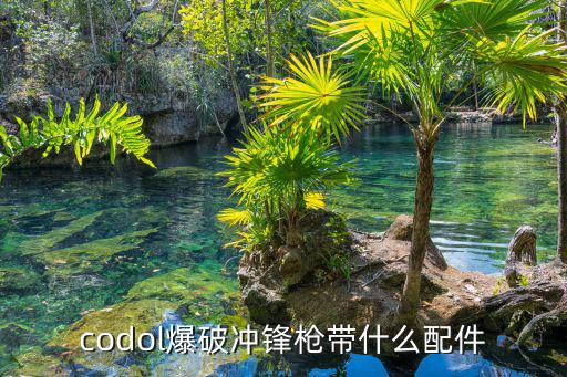 codol爆破冲锋枪带什么配件