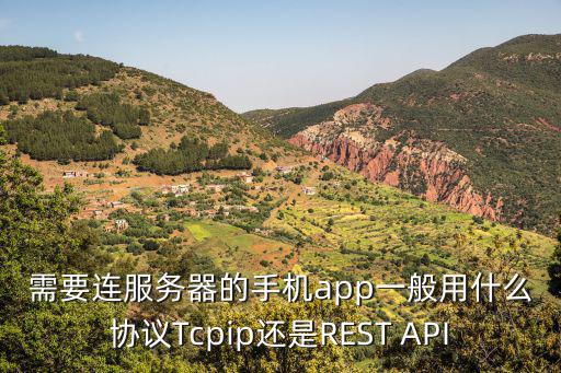 需要连服务器的手机app一般用什么协议Tcpip还是REST API