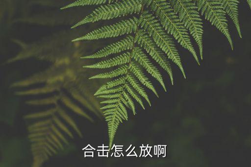 合击怎么放啊