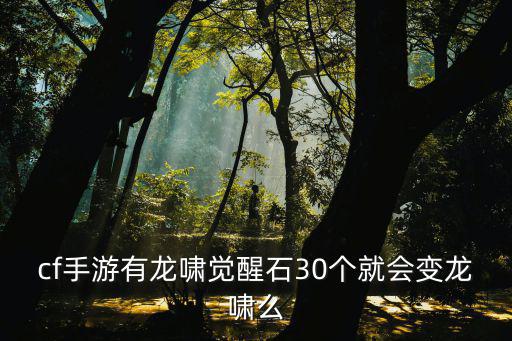 cf手游有龙啸觉醒石30个就会变龙啸么