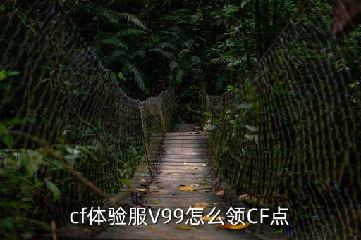 cf体验服V99怎么领CF点