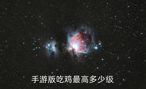 手游版吃鸡最高多少级