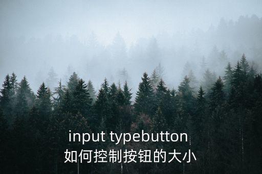input typebutton 如何控制按钮的大小