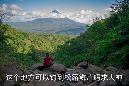 泰拉瑞亚手游松露鳞片怎么获取，这个地方可以钓到松露鳞片吗求大神