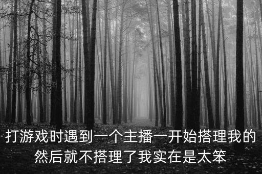 打游戏时遇到一个主播一开始搭理我的然后就不搭理了我实在是太笨