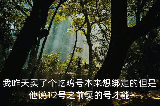 我昨天买了个吃鸡号本来想绑定的但是他说12号之前买的号才能