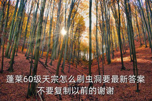 蓬莱60级天宗怎么刷虫洞要最新答案不要复制以前的谢谢