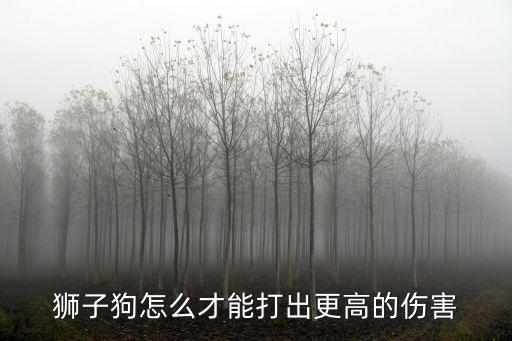 狮子狗怎么才能打出更高的伤害