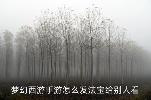 梦幻西游手游怎么发法宝给别人看