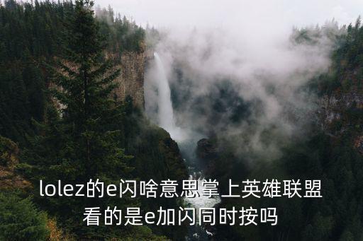 lolez的e闪啥意思掌上英雄联盟看的是e加闪同时按吗