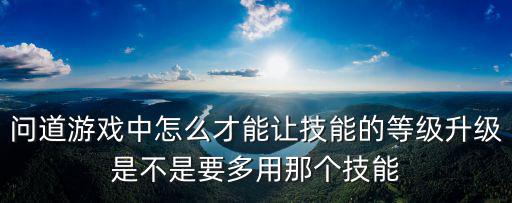 问道游戏中怎么才能让技能的等级升级是不是要多用那个技能