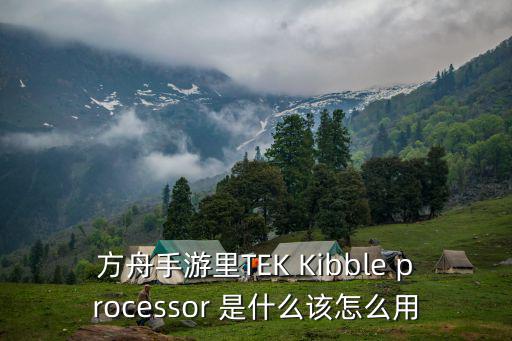 方舟手游里TEK Kibble processor 是什么该怎么用