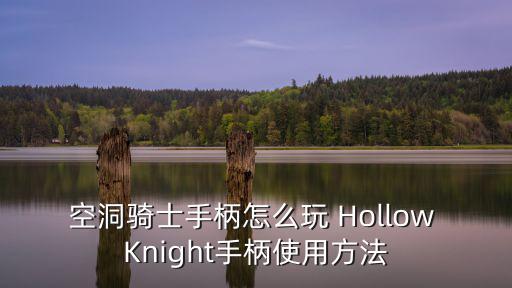 空洞骑士手柄怎么玩 Hollow Knight手柄使用方法