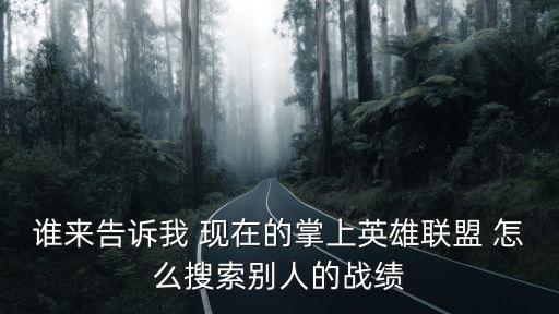 谁来告诉我 现在的掌上英雄联盟 怎么搜索别人的战绩