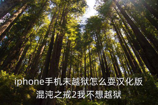 iphone手机未越狱怎么耍汉化版混沌之戒2我不想越狱