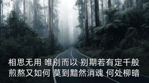 相思无用 唯别而以 别期若有定千般煎熬又如何 莫到黯然消魂 何处柳暗