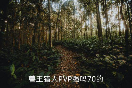 兽王猎人PVP强吗70的