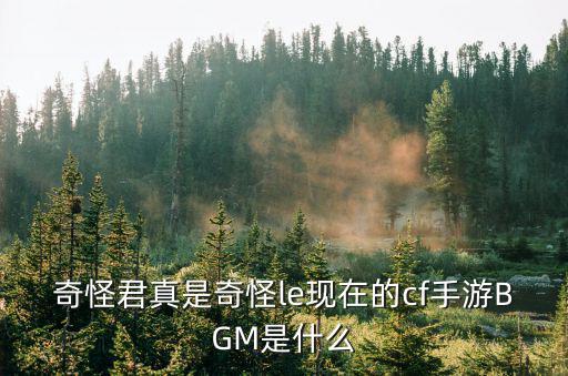 奇怪君真是奇怪le现在的cf手游BGM是什么