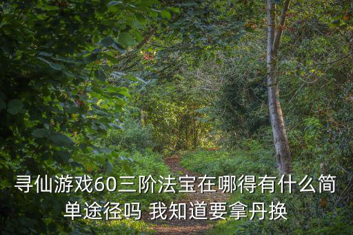 寻仙游戏60三阶法宝在哪得有什么简单途径吗 我知道要拿丹换