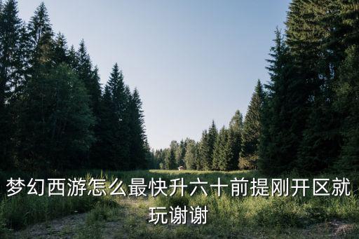 梦幻西游怎么最快升六十前提刚开区就玩谢谢