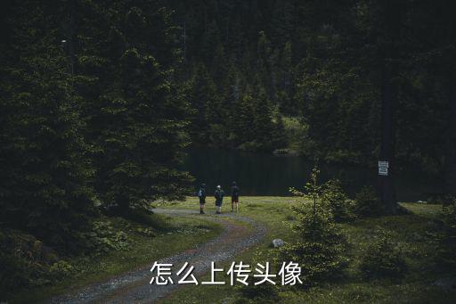 怎么上传头像