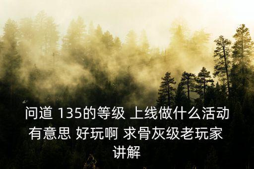 问道 135的等级 上线做什么活动 有意思 好玩啊 求骨灰级老玩家 讲解