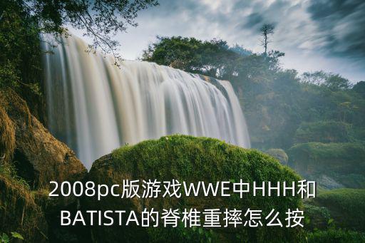 2008pc版游戏WWE中HHH和BATISTA的脊椎重摔怎么按