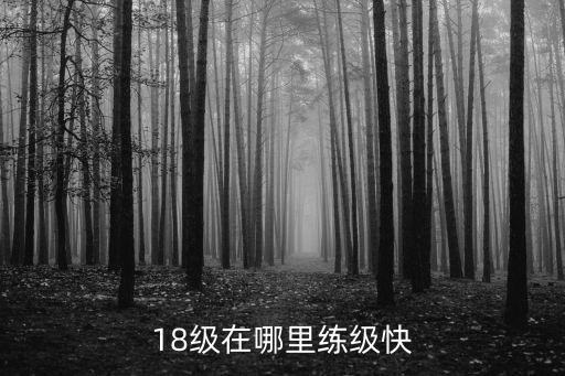 18级在哪里练级快