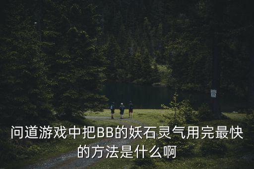 问道游戏中把BB的妖石灵气用完最快的方法是什么啊