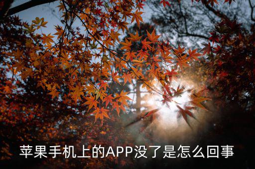 苹果手机上的APP没了是怎么回事