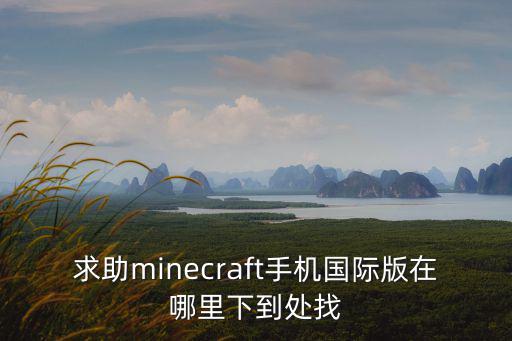 求助minecraft手机国际版在哪里下到处找