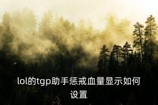 lol的tgp助手惩戒血量显示如何设置