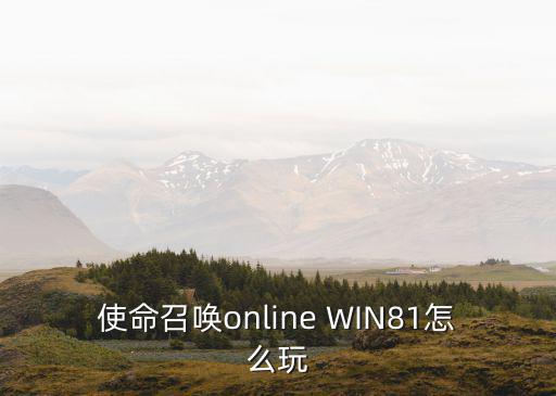 怎么玩使命召唤ol手游，使命召唤online WIN81怎么玩