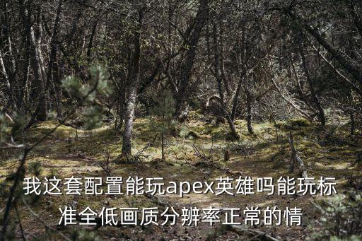 我这套配置能玩apex英雄吗能玩标准全低画质分辨率正常的情