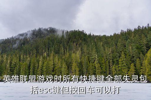 英雄联盟游戏时所有快捷键全部失灵包括esc键但按回车可以打