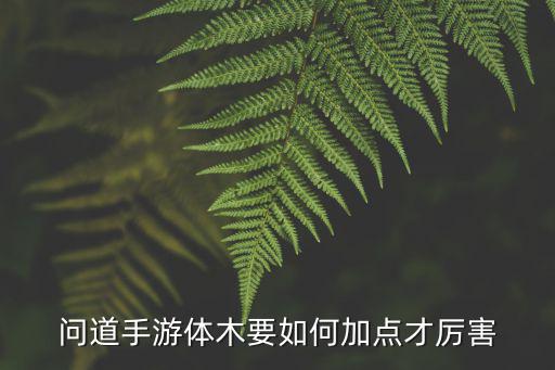 2022问道手游体木怎么加点，问道手游体木要如何加点才厉害