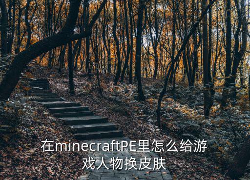 在minecraftPE里怎么给游戏人物换皮肤