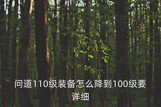 问道110级装备怎么降到100级要详细