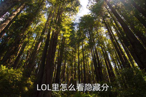 LOL里怎么看隐藏分