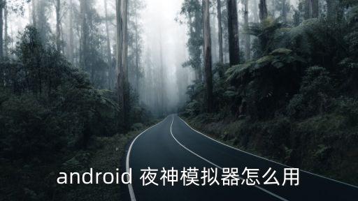 android 夜神模拟器怎么用