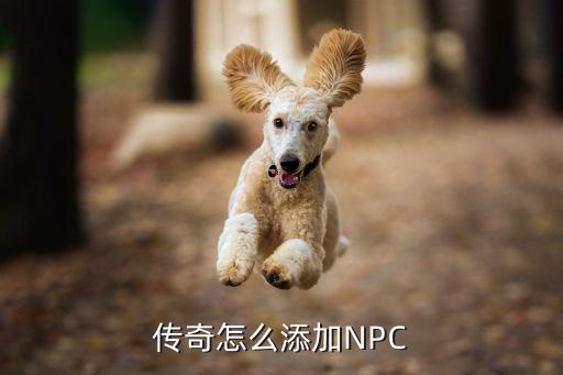 传奇怎么添加NPC