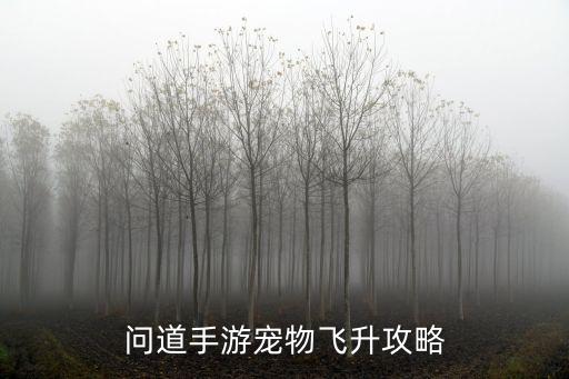 问道手游宠物飞升攻略