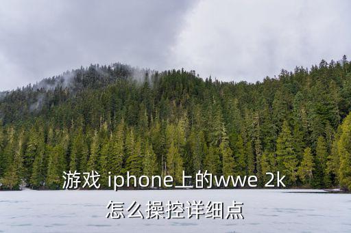 游戏 iphone上的wwe 2k怎么操控详细点