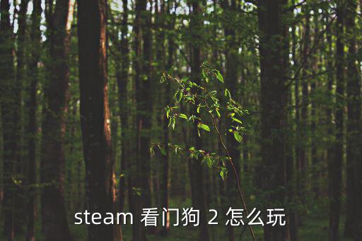 steam 看门狗 2 怎么玩