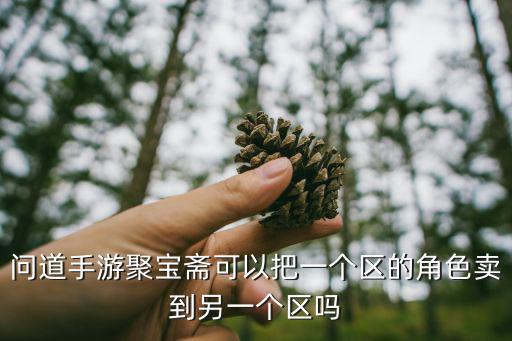 问道手游聚宝斋可以把一个区的角色卖到另一个区吗