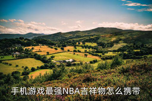 手机游戏最强NBA吉祥物怎么携带