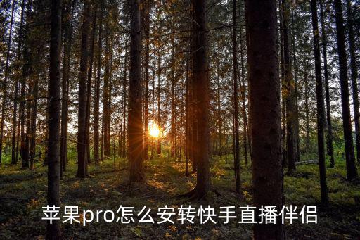 苹果pro怎么安转快手直播伴侣