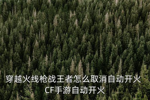 穿越火线枪战王者怎么取消自动开火 CF手游自动开火