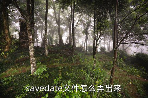 savedate文件怎么弄出来